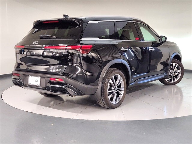 2024 Infiniti QX60 Luxe photo 2