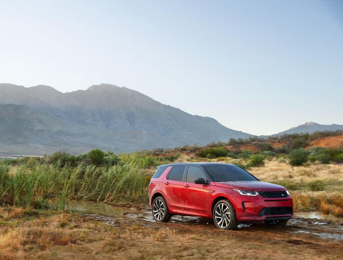 Explore Our Luxury Vehicles for Sale