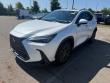 Used 2024 Lexus NX 350 Premium SUV