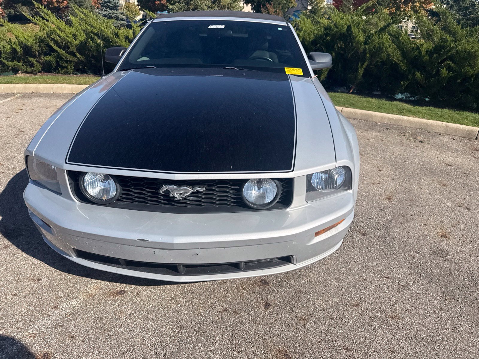 1ZVFT84NX75353619
