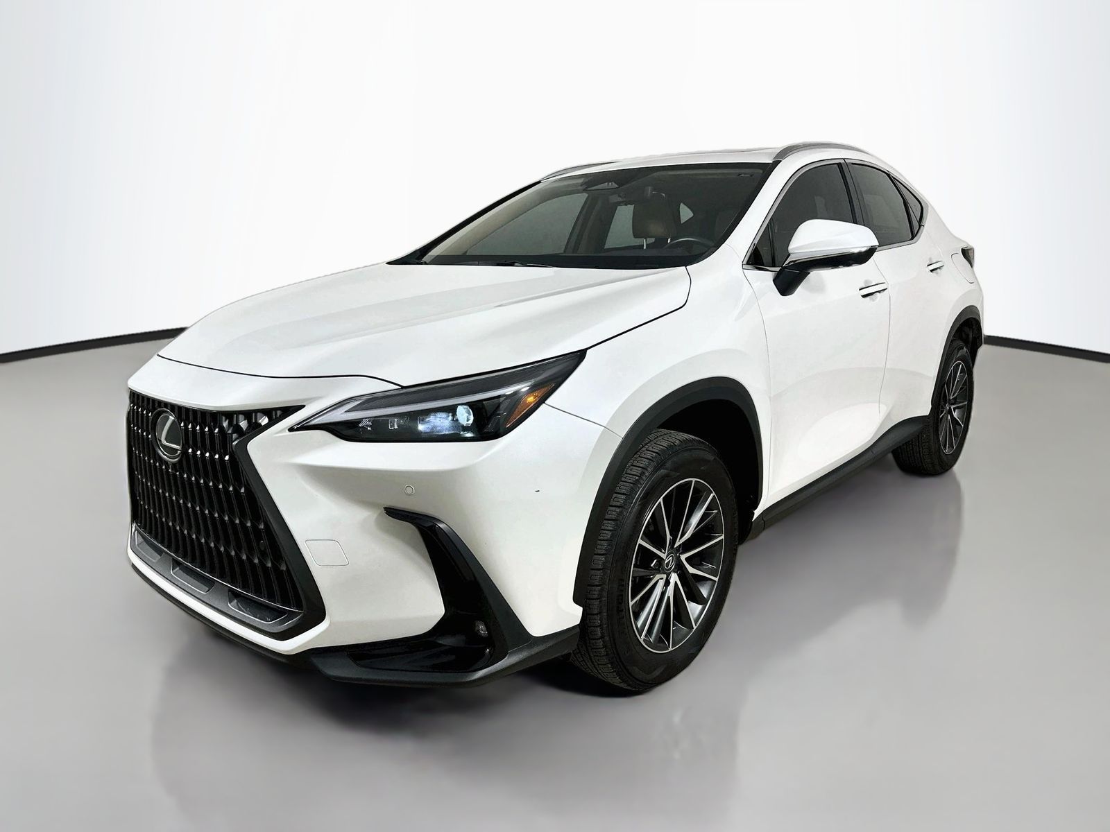 2024 Lexus NX