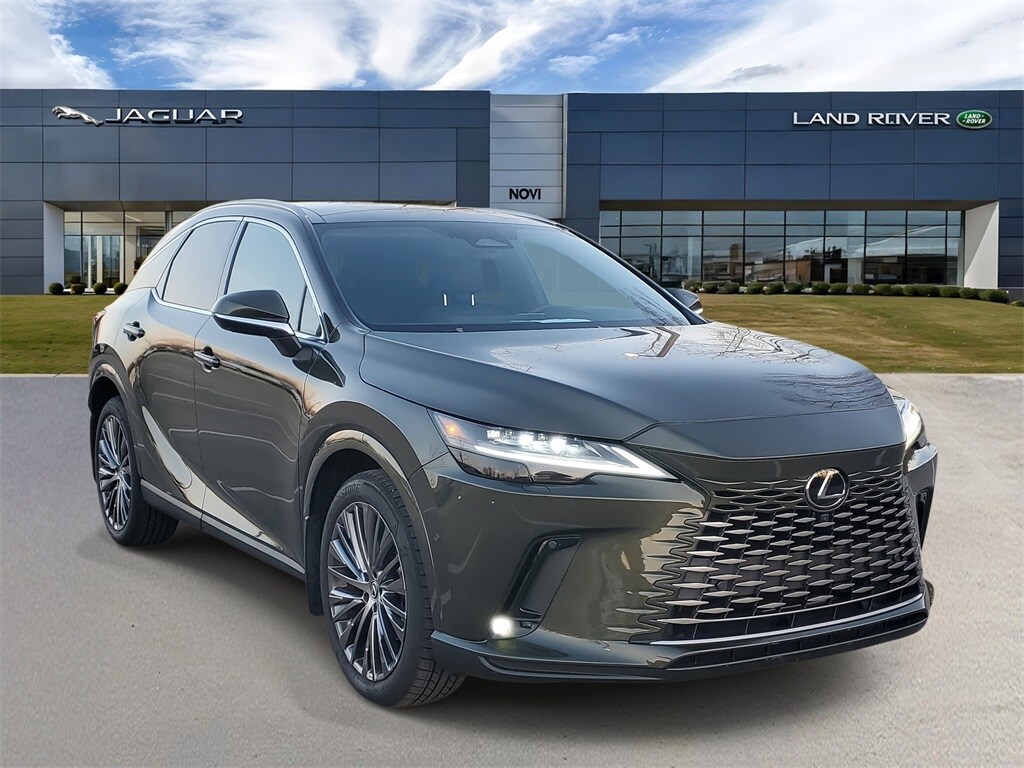 2023 Lexus RX 350 Luxury photo 4