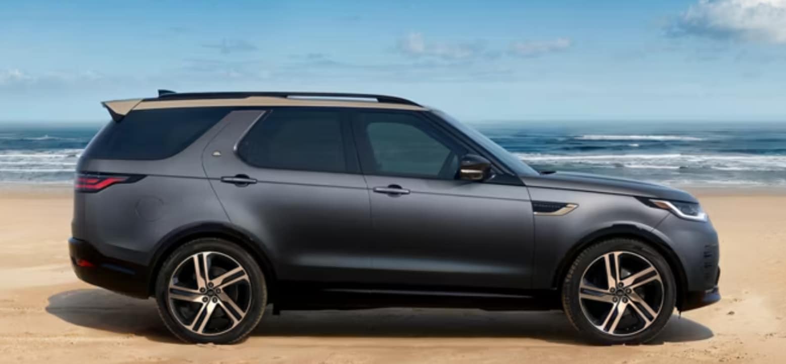 2025 Discovery on a beach
