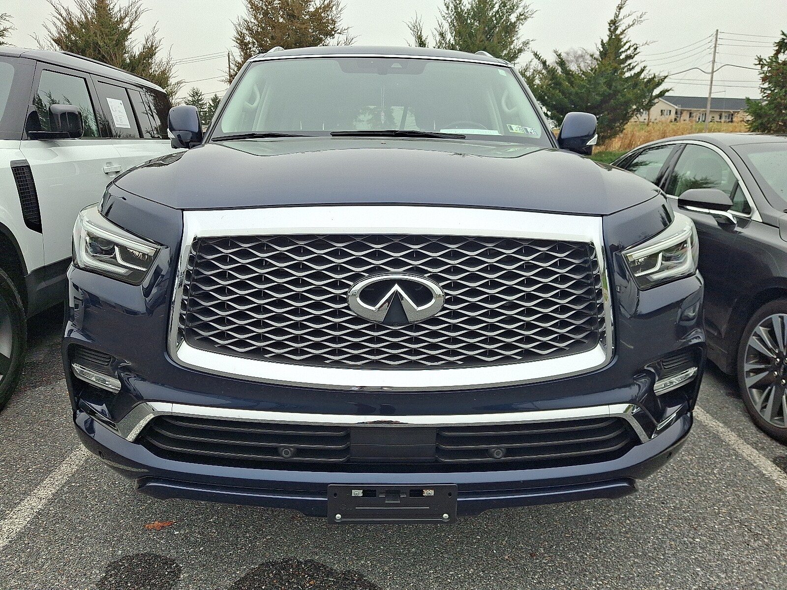 2019 Infiniti QX80 Luxe photo 2