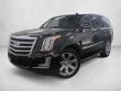 Used 2020 Cadillac Escalade Luxury Sport Utility