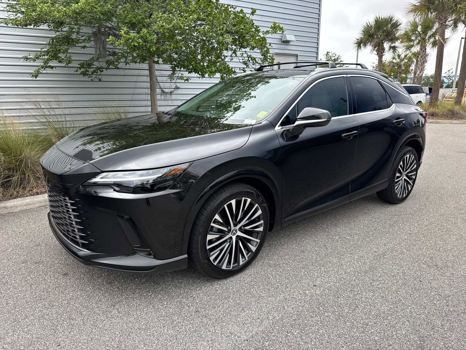 2024 Lexus RX