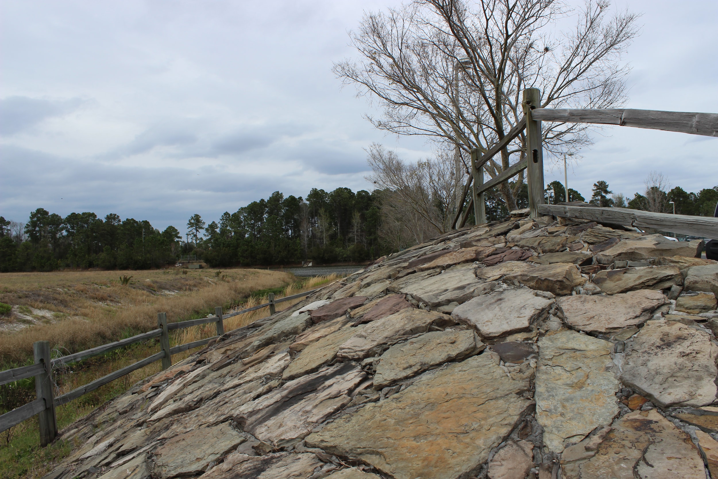 Test Track 1.jpg