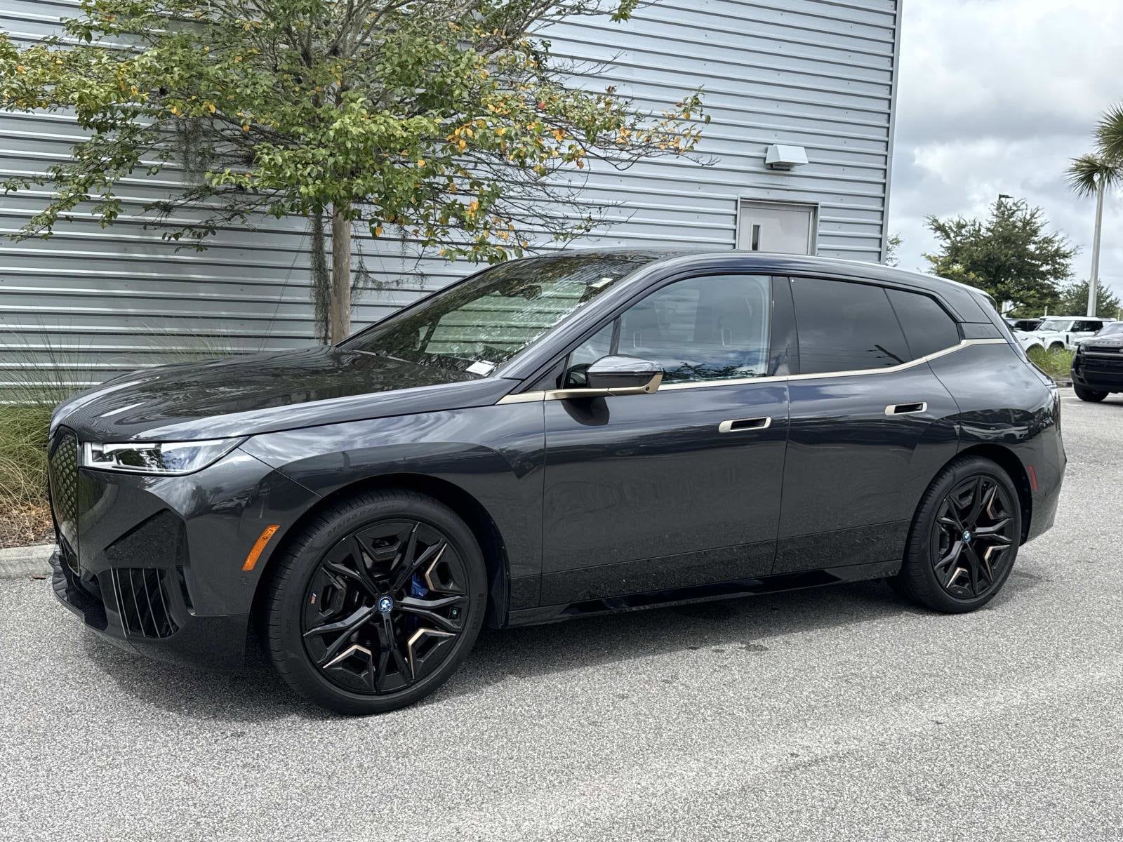 2024 BMW iX