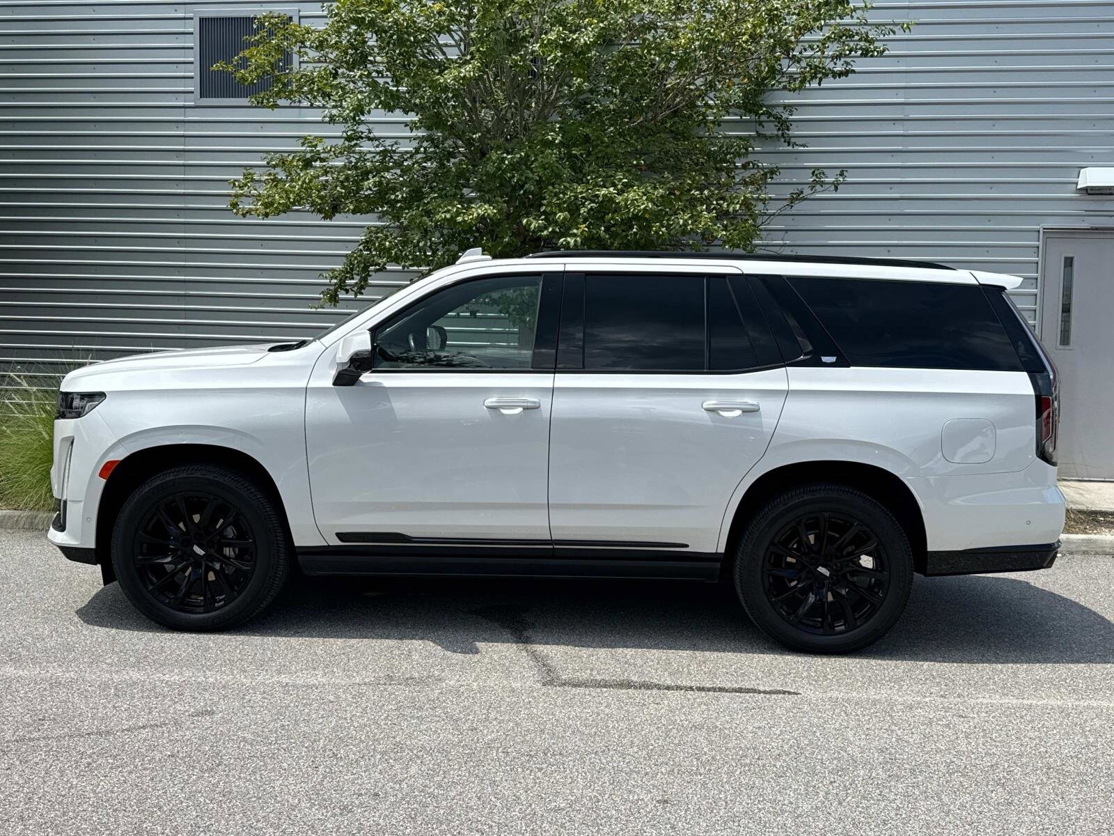 2023 Cadillac Escalade Sport photo 2