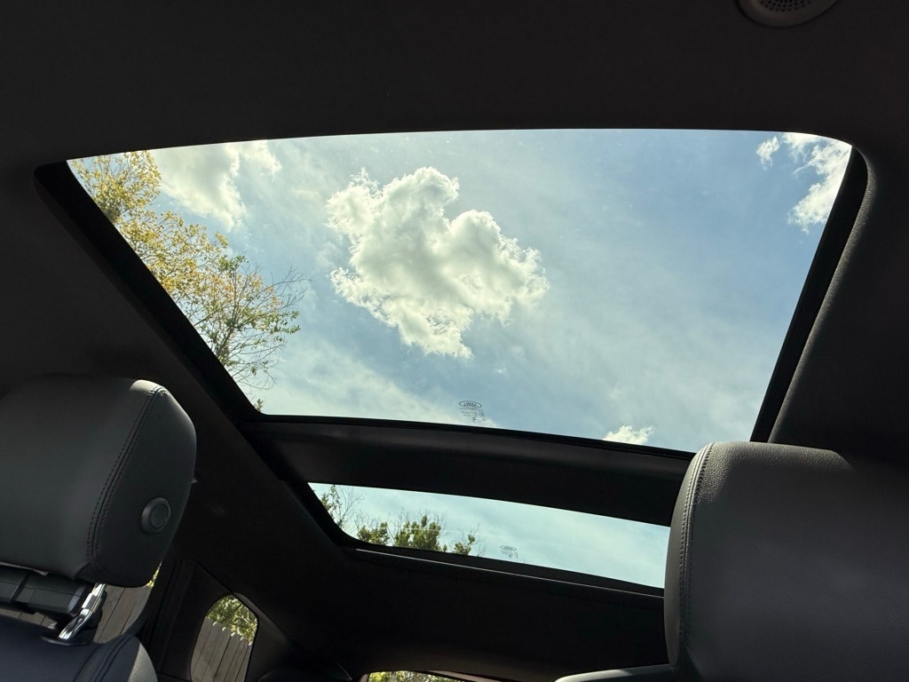 View 29