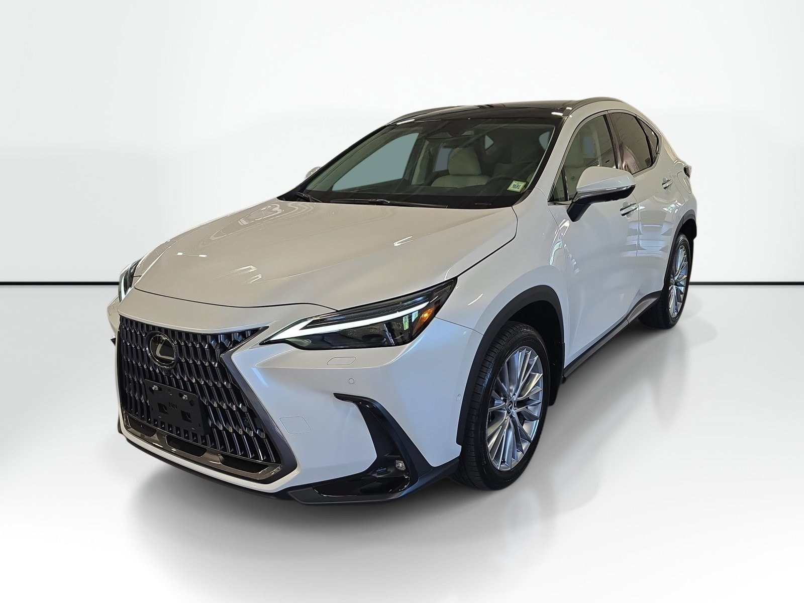 2025 Lexus NX 350 350 Luxury AWD's photo