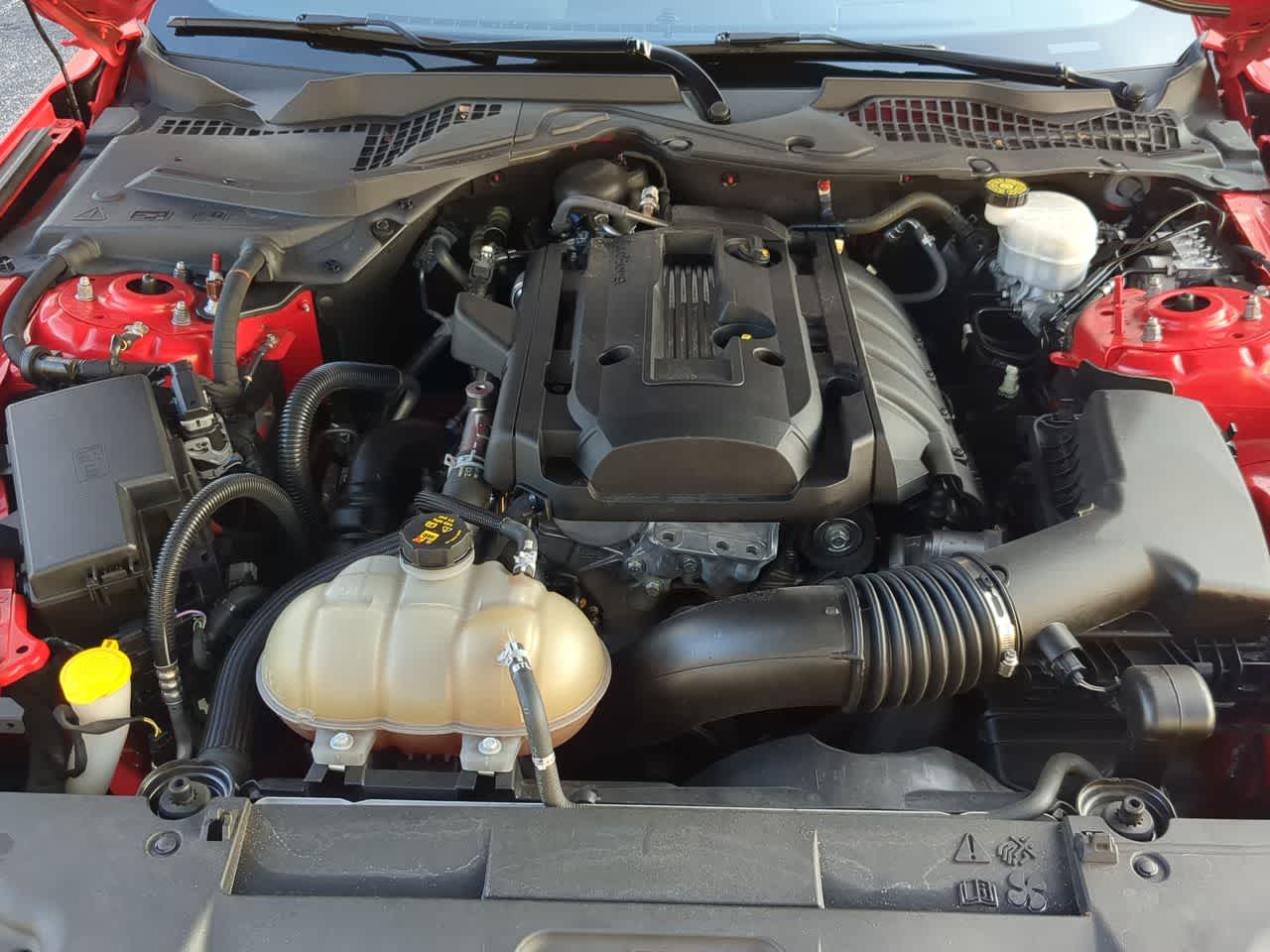 Thumbnail: 2019 Ford Mustang - 14