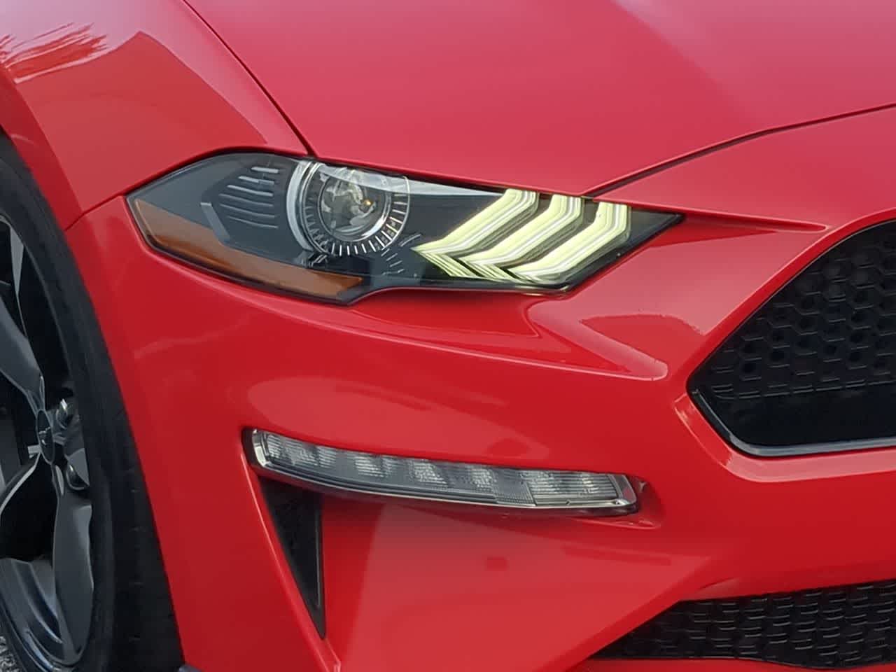 Thumbnail: 2019 Ford Mustang - 11