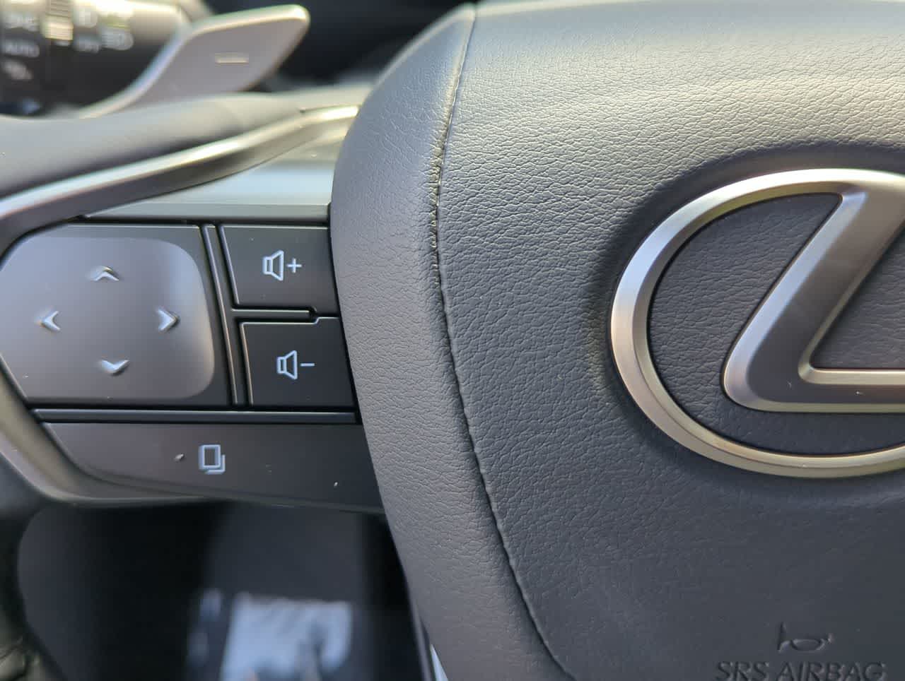 Thumbnail: 2024 Lexus RX - 24