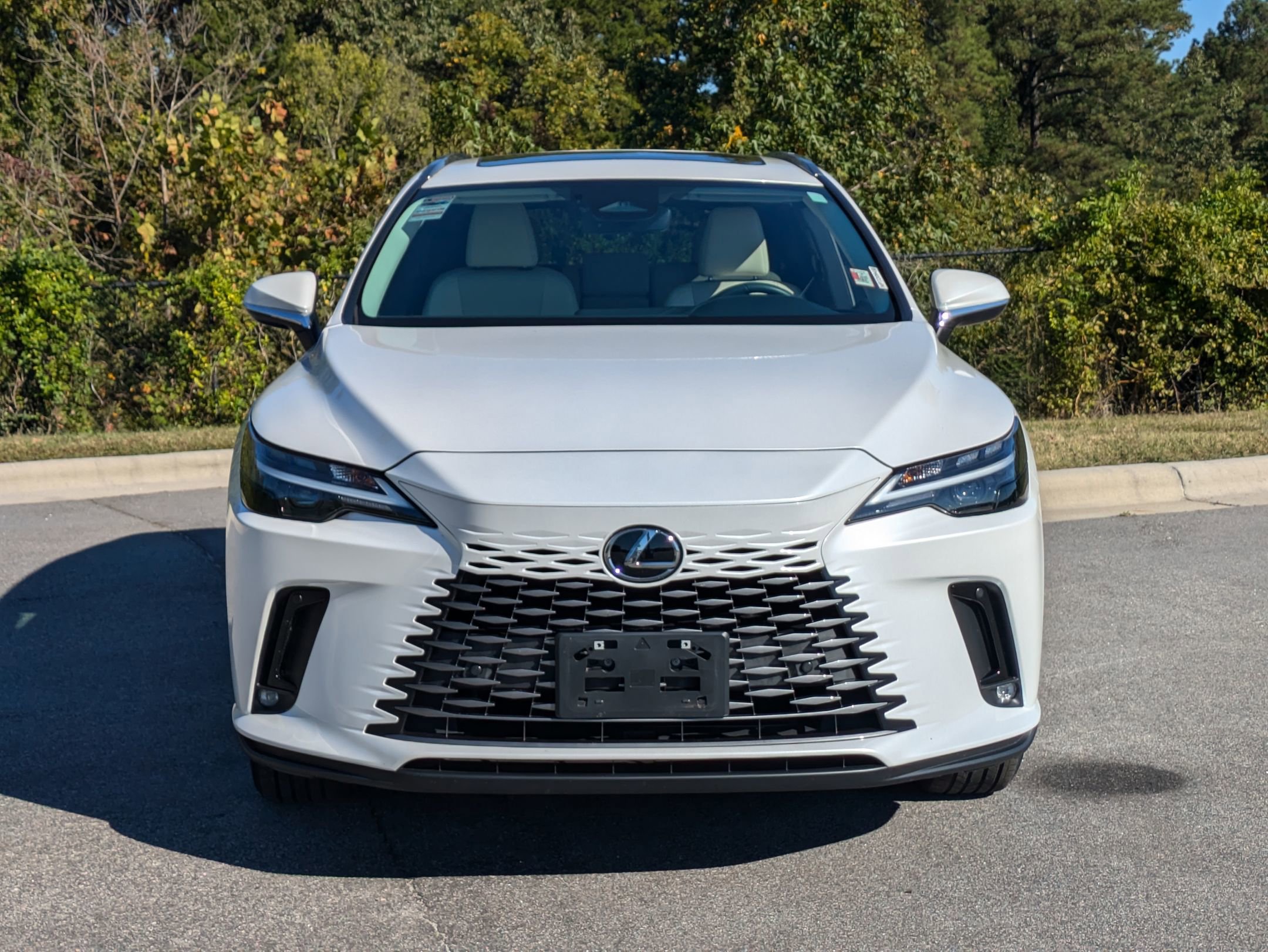 2023 Lexus RX 350 Premium photo 2