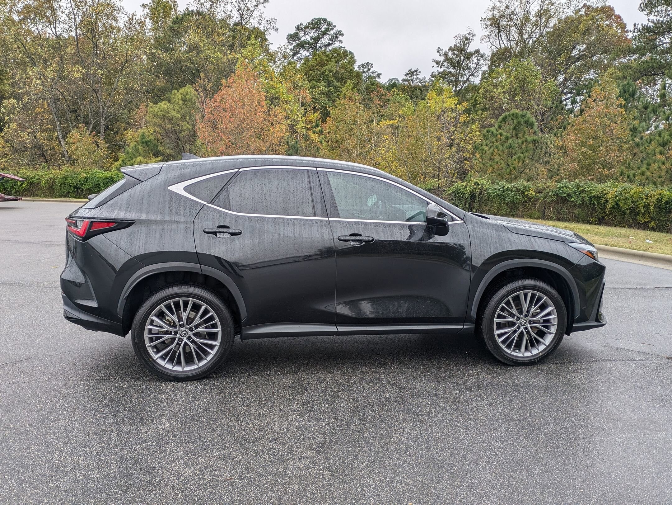 2022 Lexus NX 350h Premium photo 4