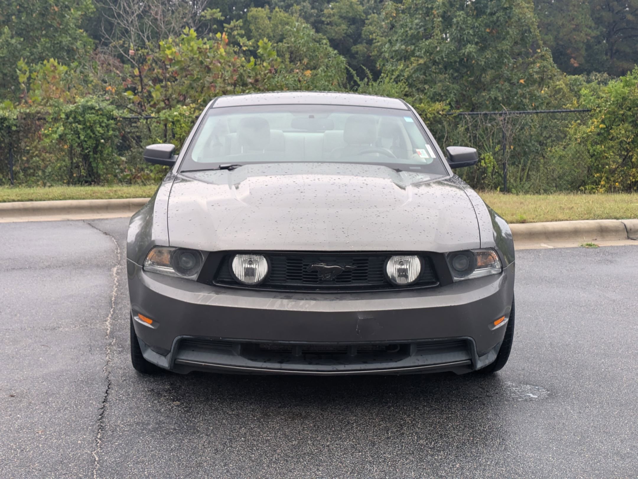 2010 Ford Mustang GT Premium photo 2