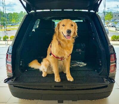 Land Rover Raleigh Technicians #1