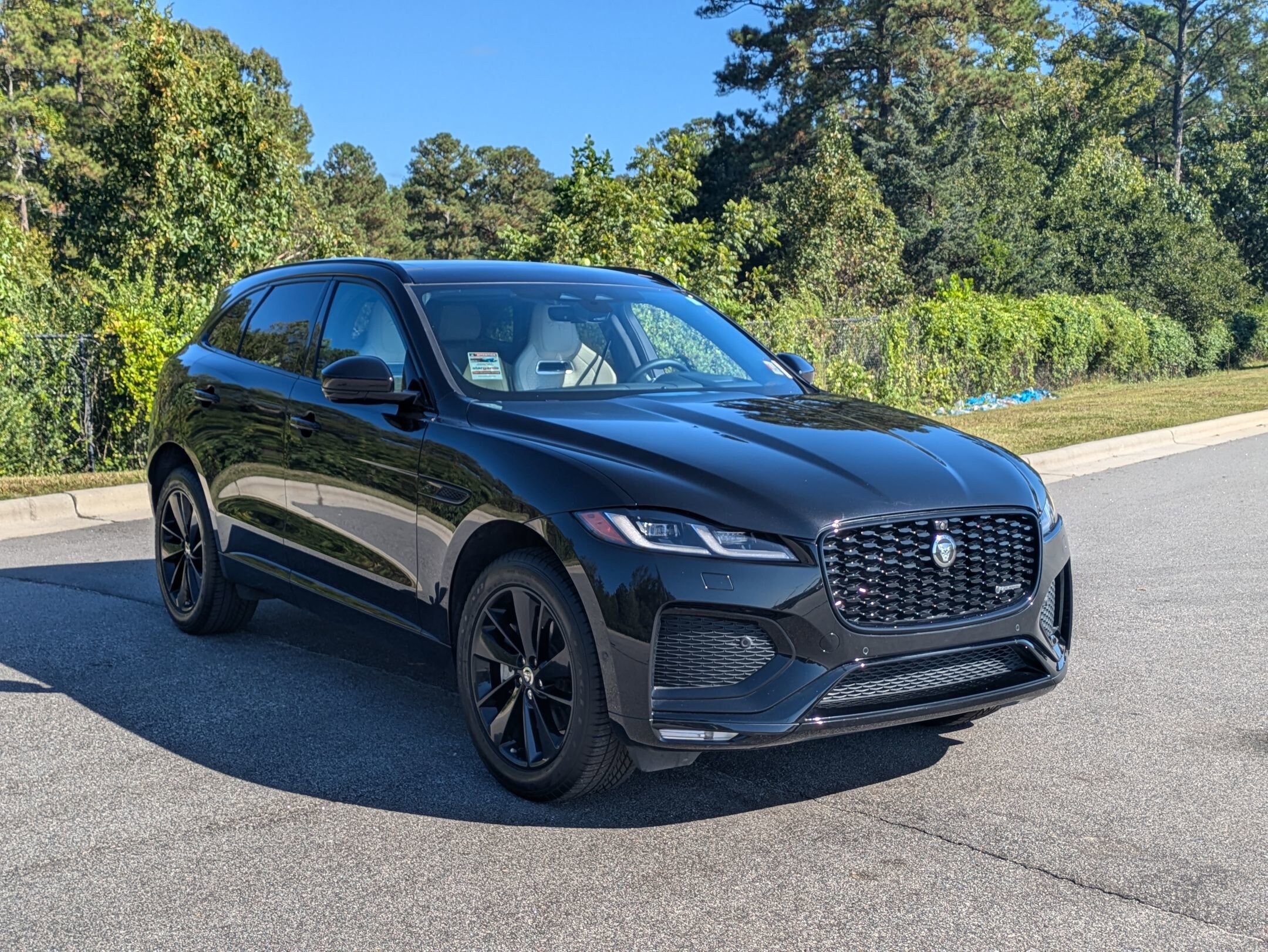 2025 Jaguar F-PACE P250 R-Dynamic S photo 2