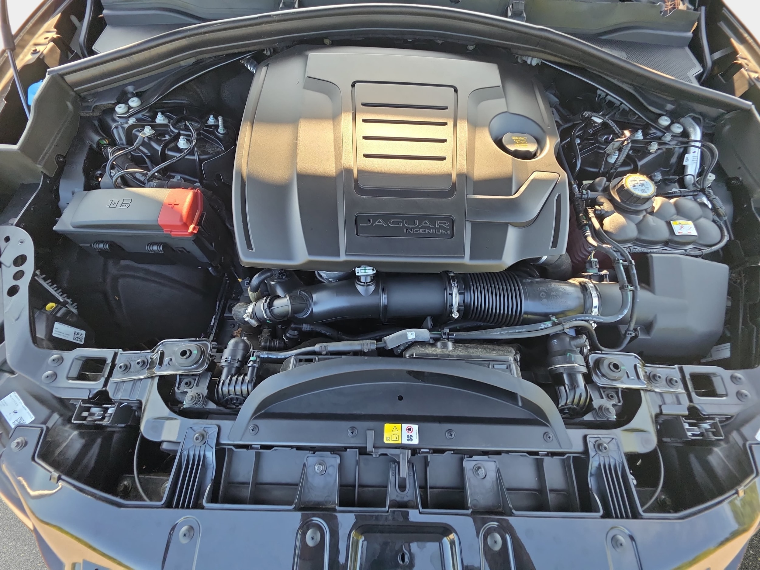 Photo 31