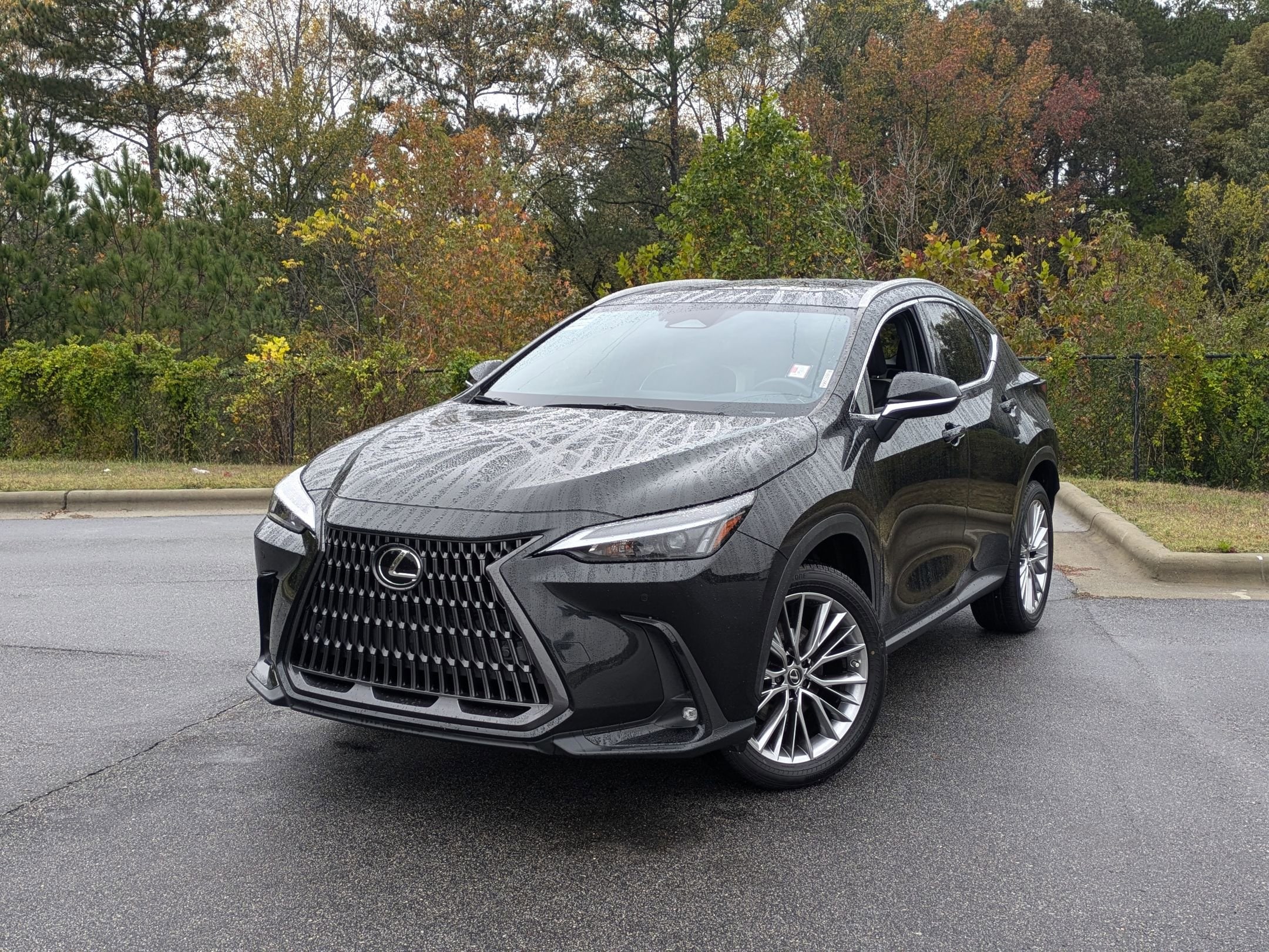 2022 Lexus NX Hybrid 350h's photo
