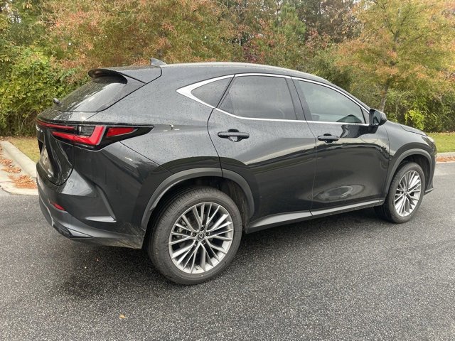 2022 Lexus NX 350h Premium photo 2