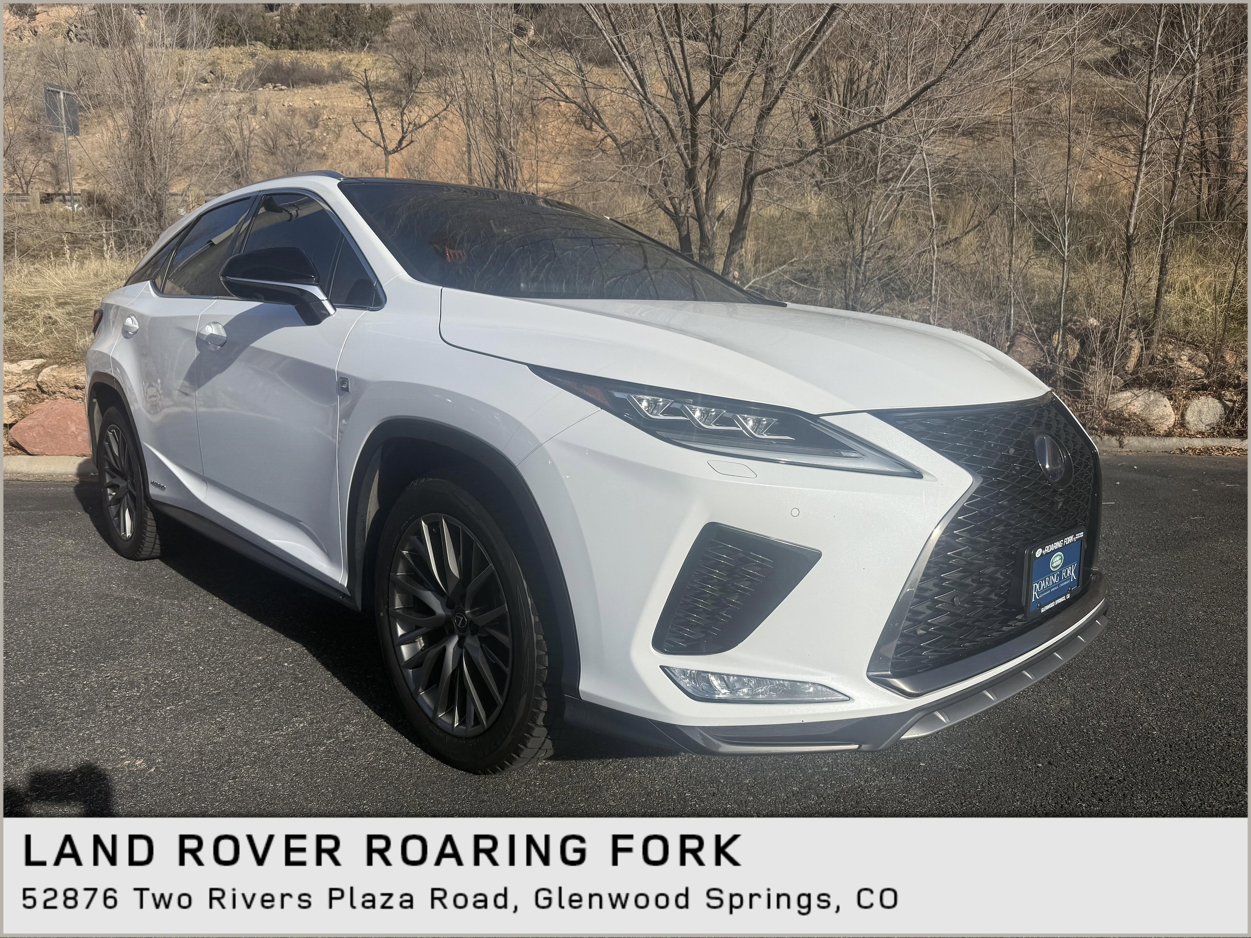 2022 Lexus RX Hybrid 450h F SPORT's photo
