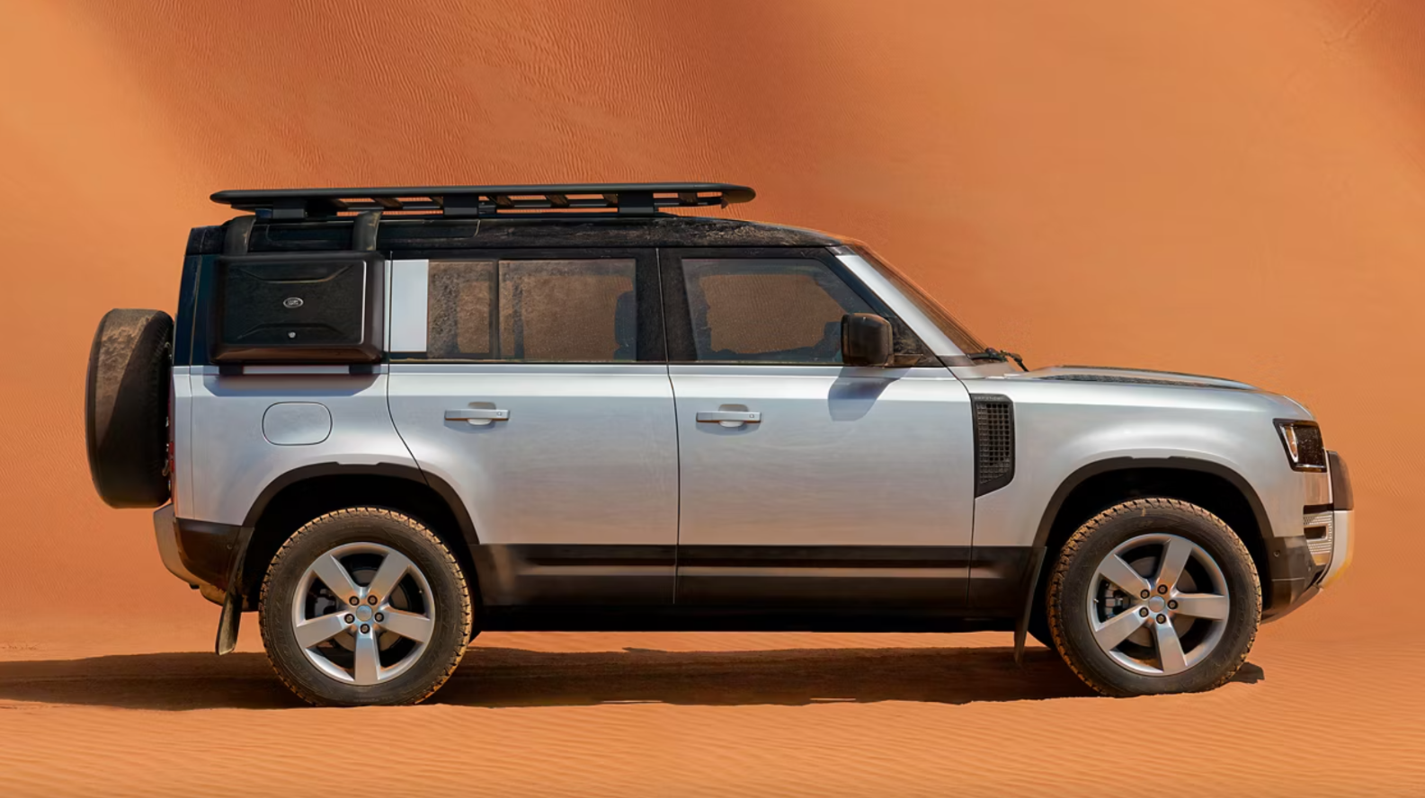 Profile of a Defender