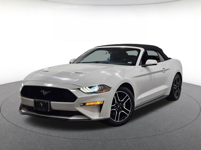 2019 Ford Mustang EcoBoost Convertible Premium's photo