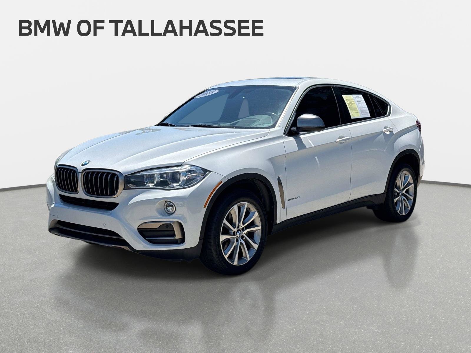 2018 BMW X6 sDrive35i's photo
