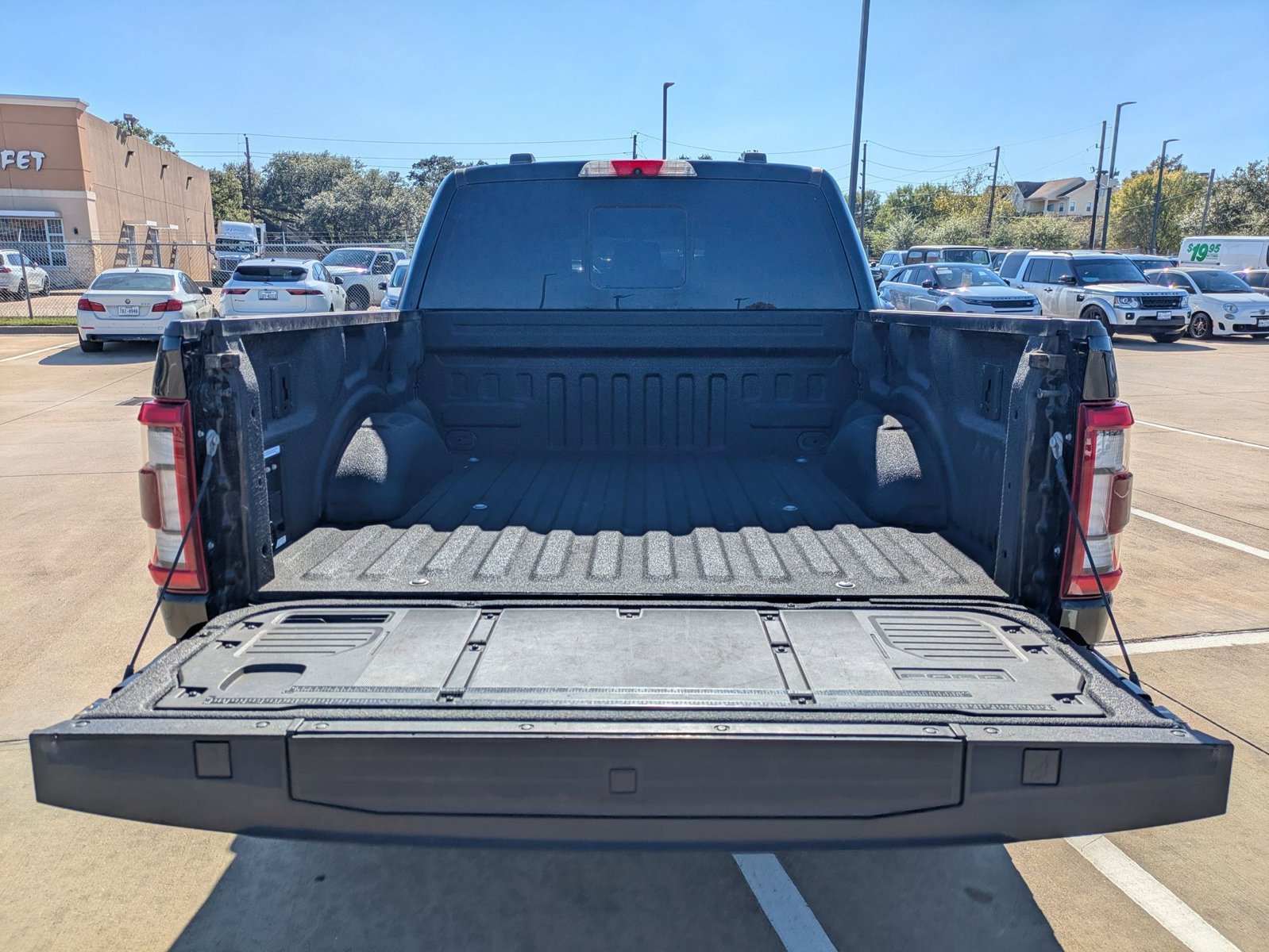 2022 Ford F-150 Platinum photo 4