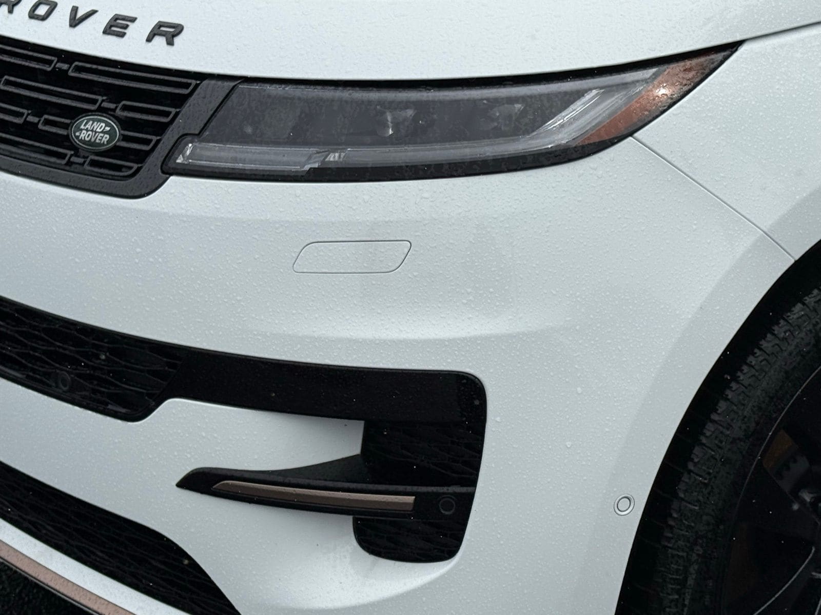2025 Land Rover Range Rover Sport Dynamic SE - Photo 11