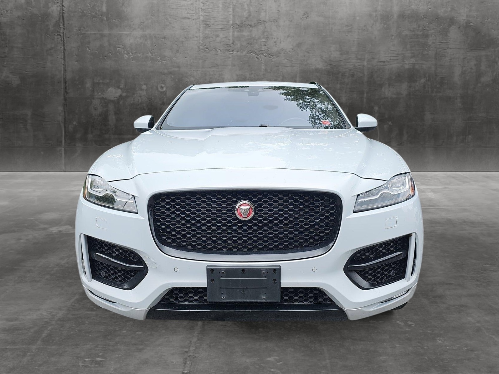 Used 2019 Jaguar F-Pace R-Sport with VIN SADCL2GX9KA352448 for sale in Elmsford, NY