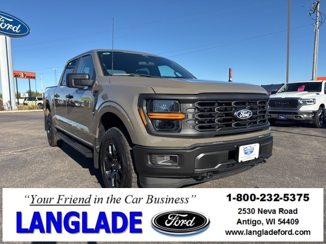 2025 Ford F-150 STX's photo