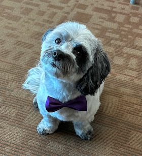 Staff member LEXI LANGWAY from 3a2479f3bff7