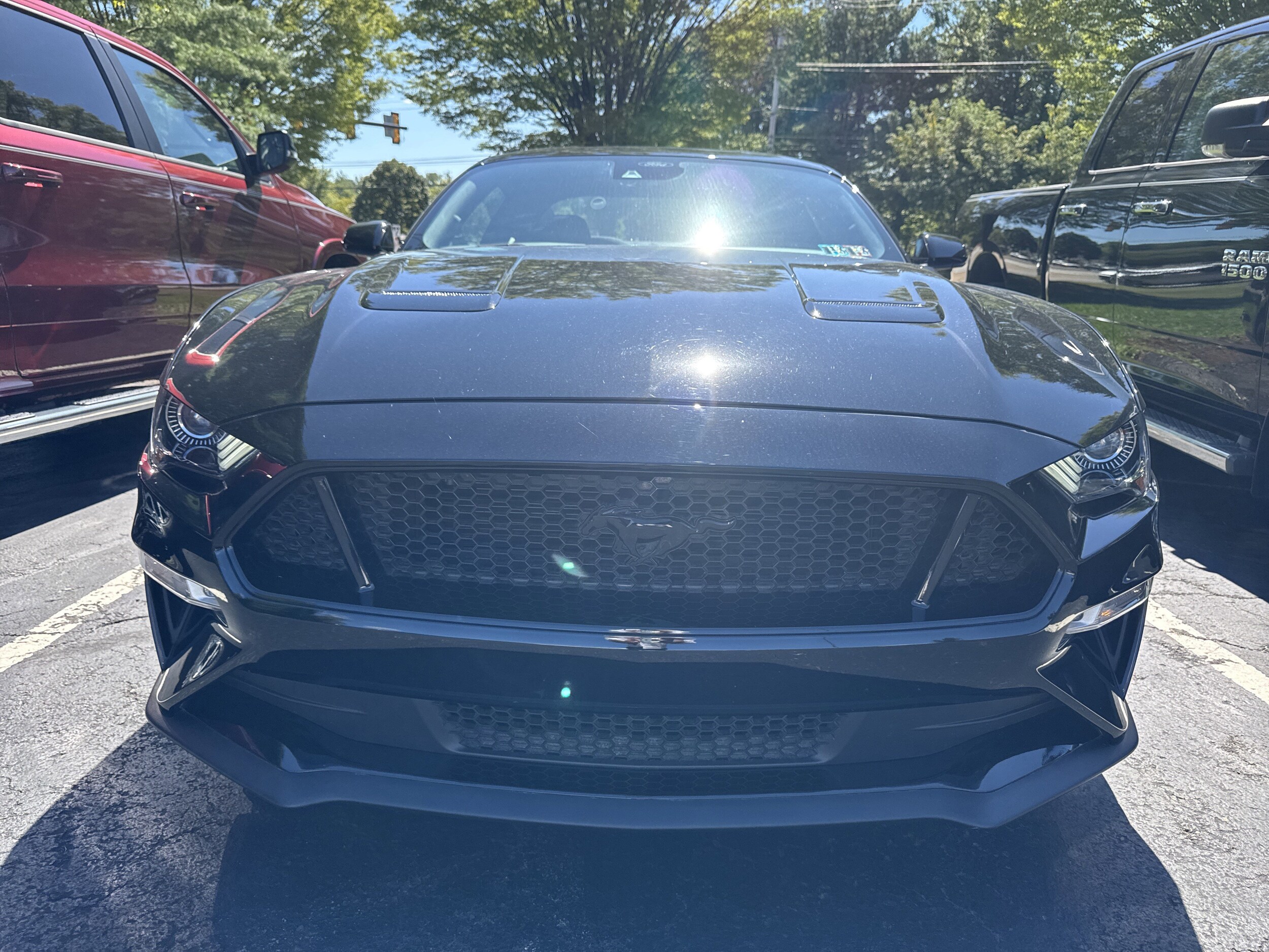 2021 Ford Mustang Mach 1 photo 2