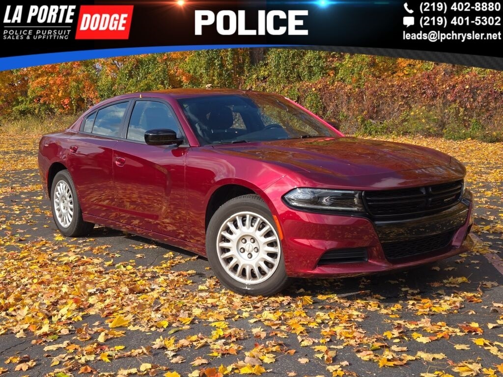 2023 Dodge Charger's photo