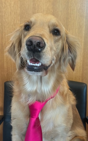 Staff member ISABELLA from 665bcde29cde