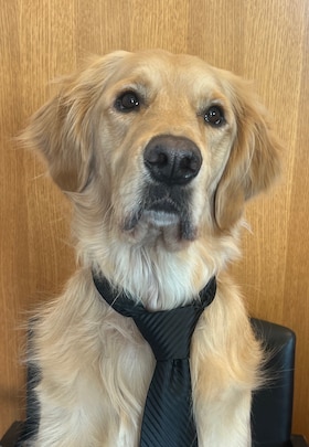 Staff member IZZY from 665bcde29cde