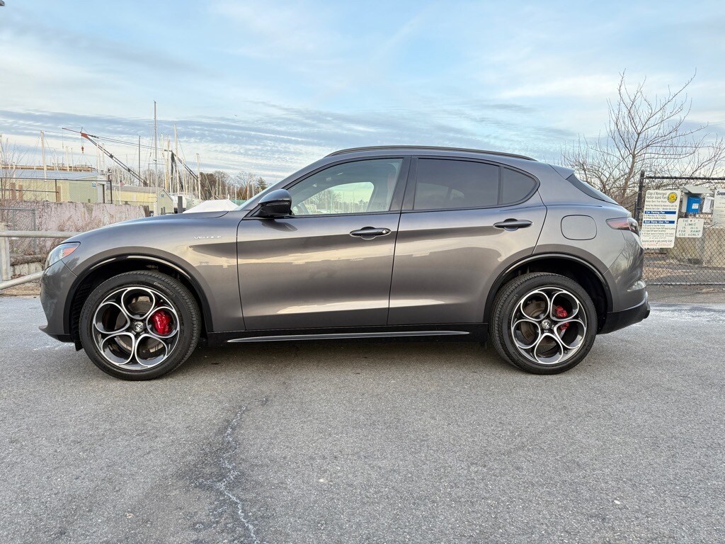2024 Alfa Romeo Stelvio Tributo Italiano photo 3