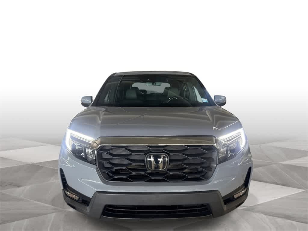 Thumbnail: 2022 Honda Passport - 3