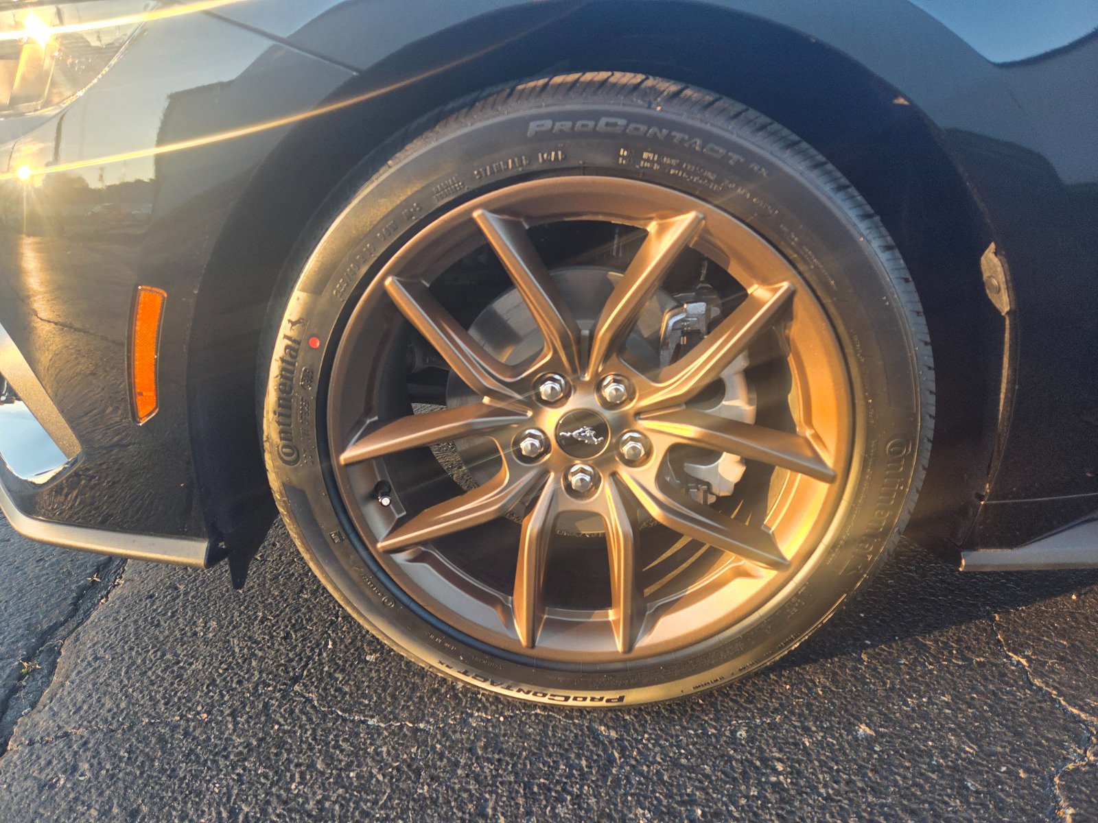 2026 Ford Mustang EcoBoost Premium Fastback - Photo 9