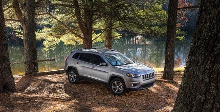 Jeep Cherokee in trees by the water 