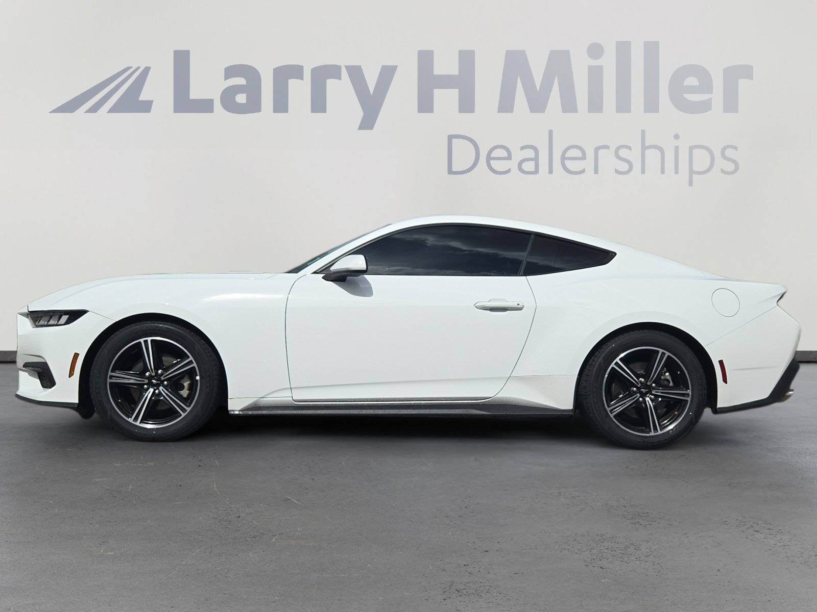 Used 2024 Ford Mustang EcoBoost with VIN 1FA6P8TH4R5112151 for sale in Albuquerque, NM