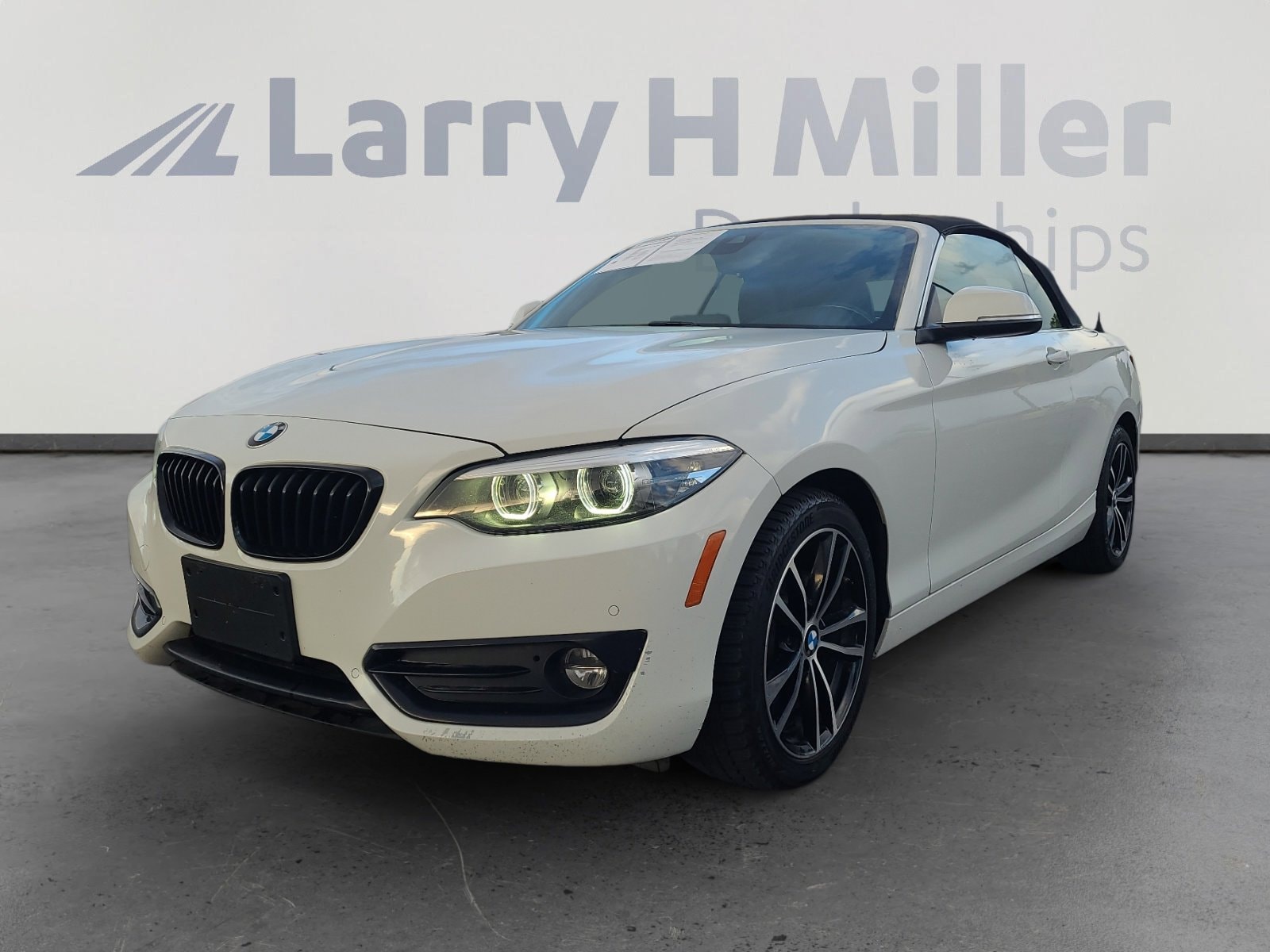 2020 BMW 2 Series 230i xDrive Convertible's photo