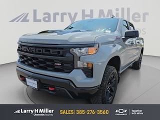 2024 Chevrolet Silverado 1500 Custom Trail Boss Truck Crew Cab