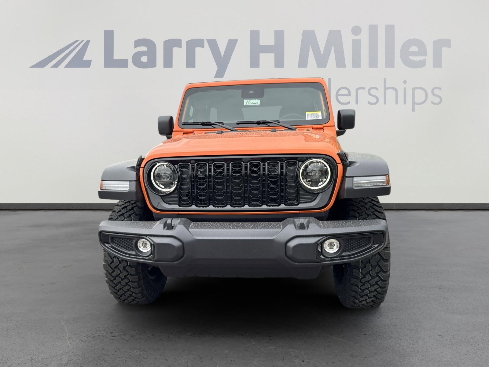 2025 Jeep Wrangler Willys photo 3