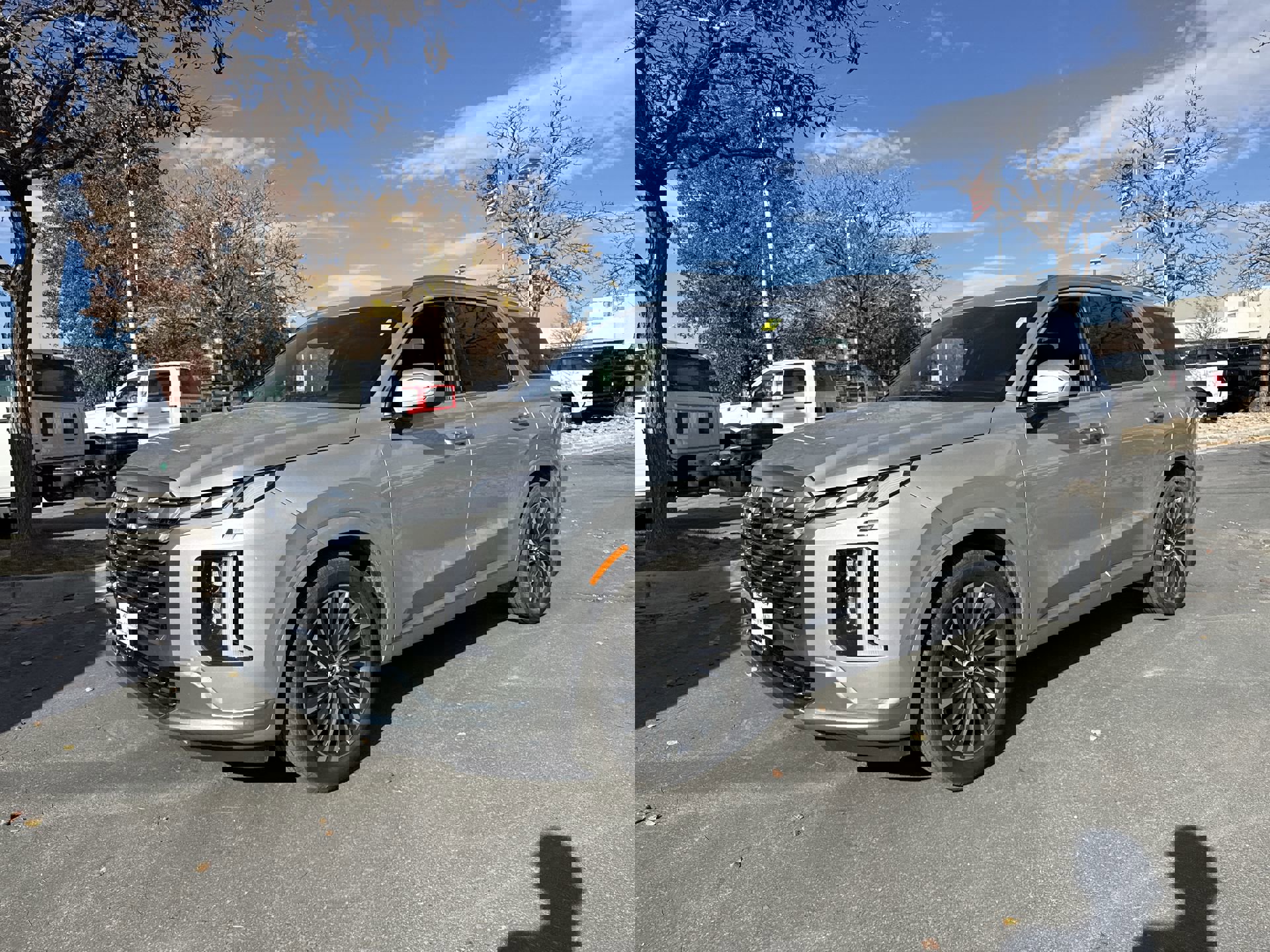 2024 Hyundai Palisade Calligraphy photo 4