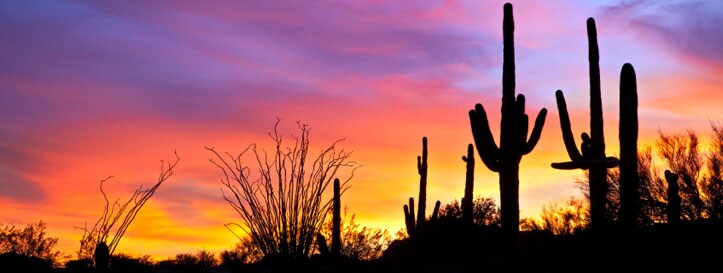  locum-tenens-jobs-arizona-banner-AZ.jpg