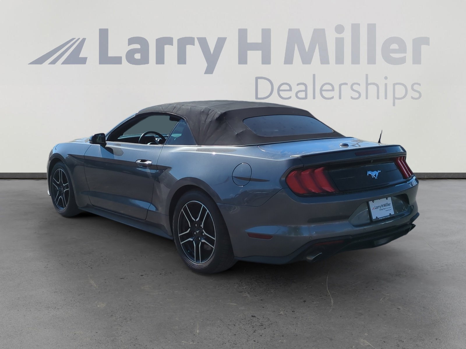 2019 Ford Mustang EcoBoost Premium photo 3